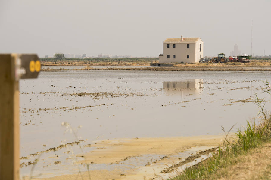 Fotos: Así ha seducido L&#039;Albufera a la televisión