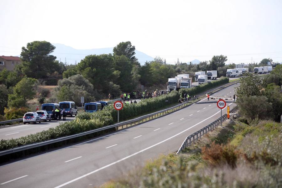 Fotos: Los CDR cortan el tráfico en la AP-7