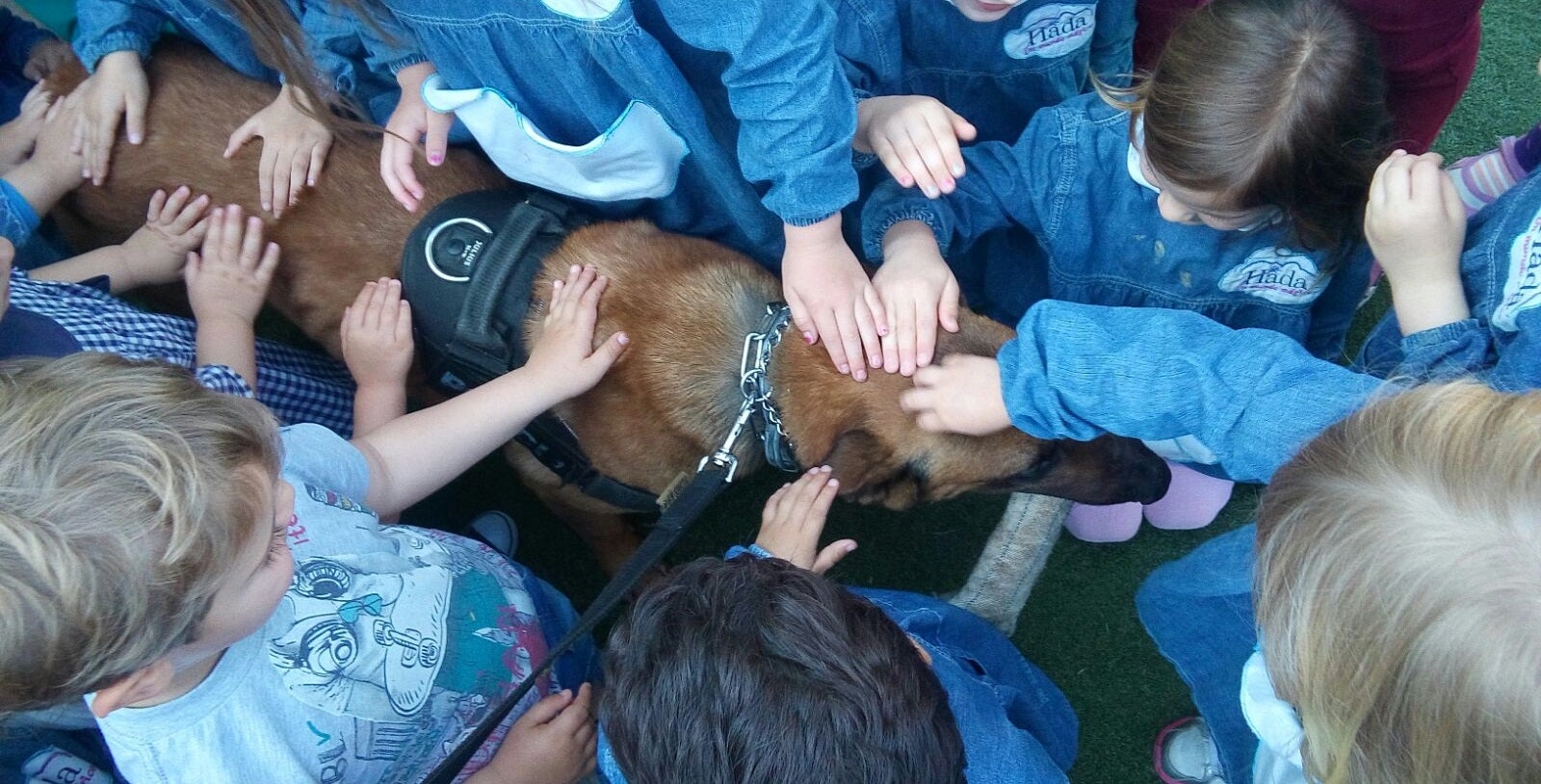 Fotos: Fotos de la patrulla canina de Paterna