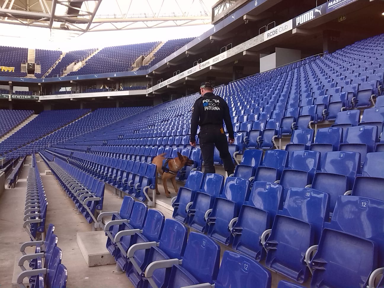 Fotos: Fotos de la patrulla canina de Paterna