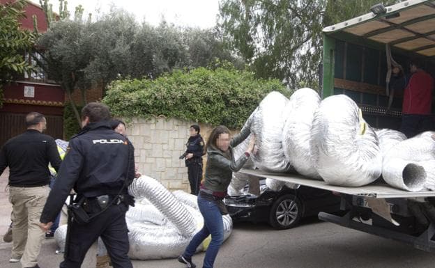 La policía desmantela una plantación de cannabis de un grupo chino en La Canyada. 