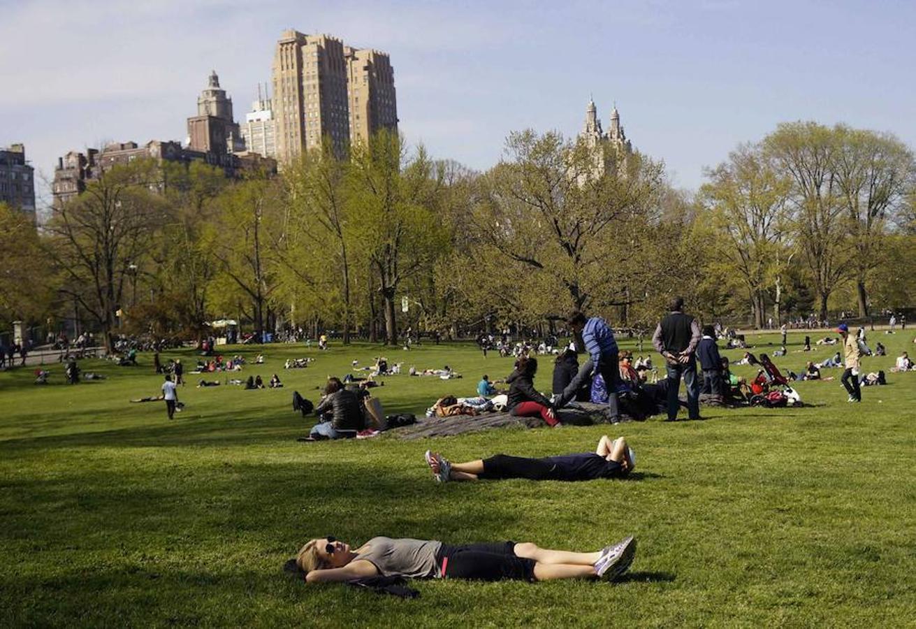 Central Park, Nueva York. La panorámica de esta zona verde en mitad de la ciudad de los rascacielos deja una postal de película. Cada año, 35 millones de personas recorren este parque que cuenta con pistas de patinaje, lagos artificiales, extensas zonas de césped y observatorios para aves. 