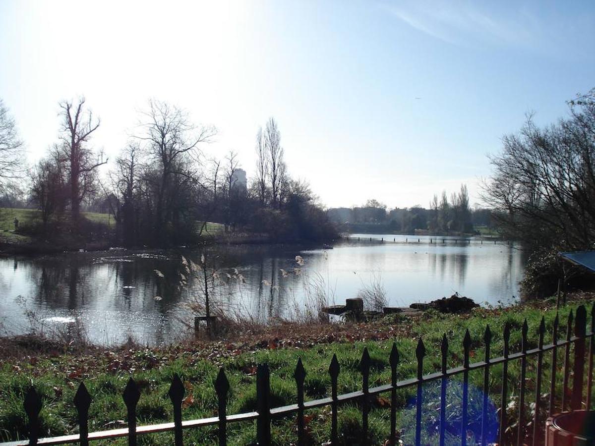 Hyde Park, Londres. El parque más grande y conocido de la capital británica alberga un espacio en el que pasear, desconectar y huir del caos de la ciudad. El lago Serpentine es el eje central del parque, en el que se pueden encontrar patos, gansos y cisnes. El césped que lo rodea es un lugar idóneo para tumbarse y también para cruzarse con ardillas. 