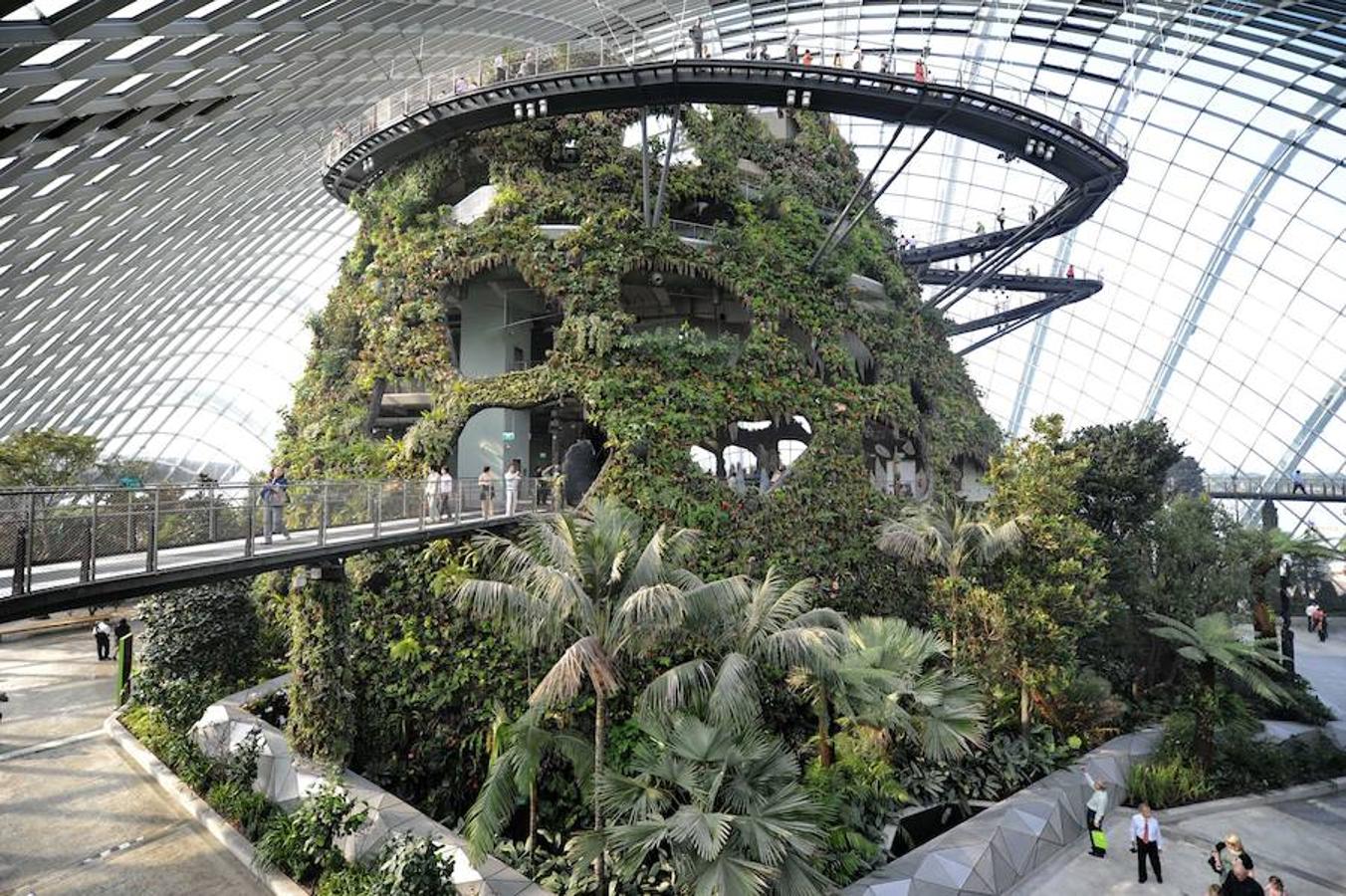 Jardines de la Bahía, Singapur. Jardines de la Bahía, Singapur. Estos jardines inaugurados en 2012 son una de las atracciones más turísticas de Singapur. Un circuito de parques entre los que destacan árboles de enorme altura y grandes invernaderos que crean una instantánea futurista y mágica.