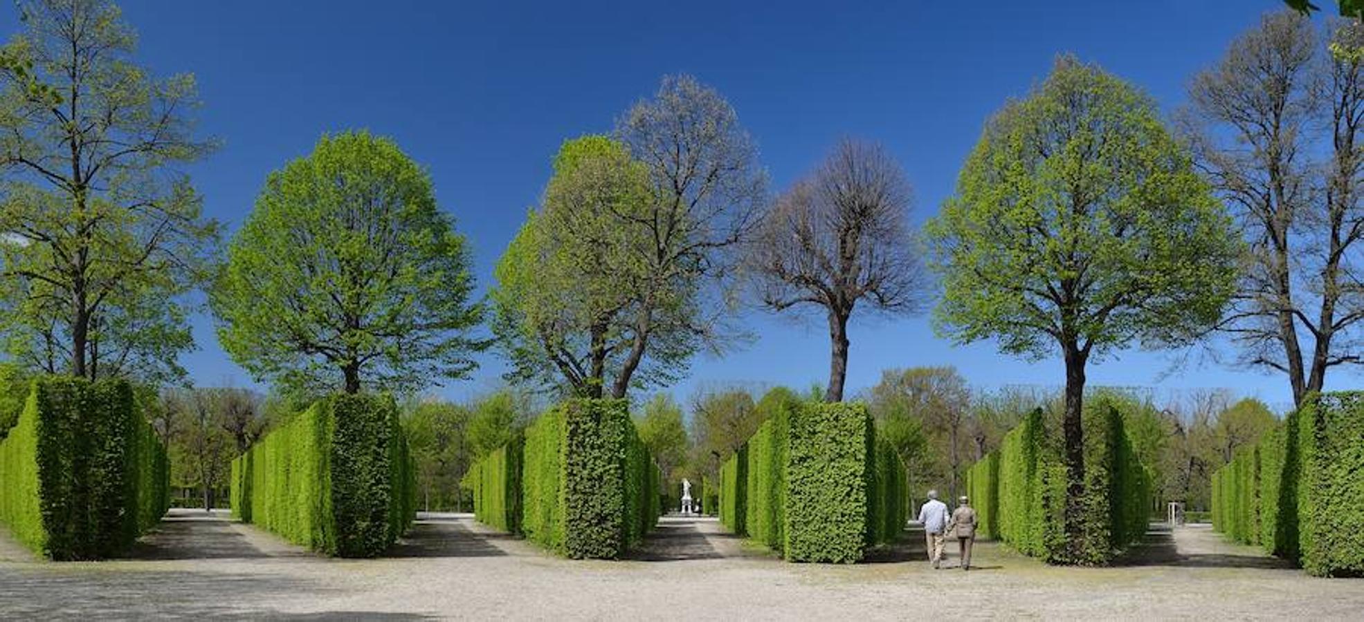 Jardines de Schönbrunn, Viena. Los jardines imperiales de Schönbrunn también son conocidos como el Versalles vienés. Fueron la residencia de de los Habsburgo y en ellos se encuentran numerosos senderos, estatuas, fuentes y un palacio.