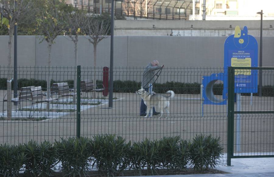 Desde las 9 horas de la mañana de este lunes los valencianos ya pueden disfrutar de este nuevo espacio verde que esperan desde hace 15 años. En total, más de 100.000 metros cuadrados, con un millar de árboles y zonas para niños y perros.