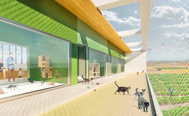 El nuevo refugio de animales de Valencia será visitable y tendrá espacio para cerca de 200 mascotas
