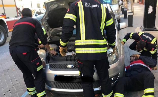 Los bomberos salvan a una gata preñada de morir calcinada por el motor de un coche en Calp