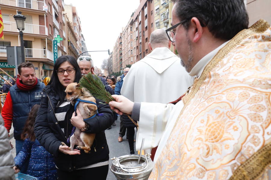 La calle Sagunto acoge un año más el tradicional acto que reúne a decenas especies de animales