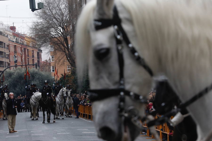 La calle Sagunto acoge un año más el tradicional acto que reúne a decenas especies de animales