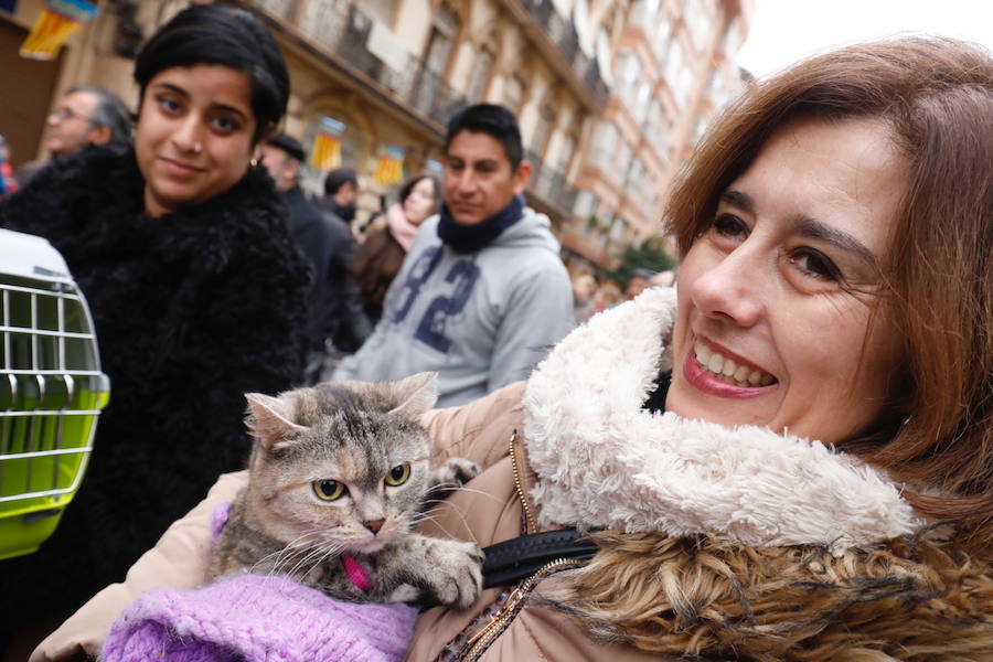 La calle Sagunto acoge un año más el tradicional acto que reúne a decenas especies de animales