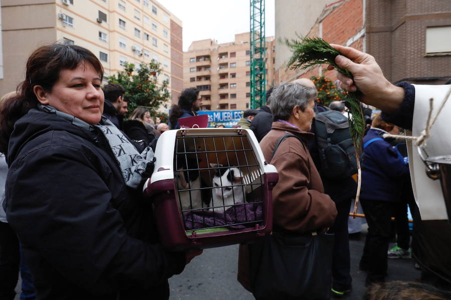 La calle Sagunto acoge un año más el tradicional acto que reúne a decenas especies de animales