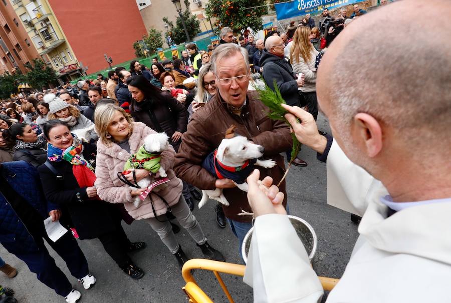 La calle Sagunto acoge un año más el tradicional acto que reúne a decenas especies de animales