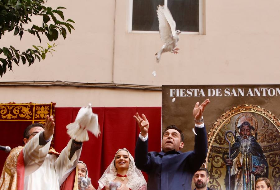 La calle Sagunto acoge un año más el tradicional acto que reúne a decenas especies de animales