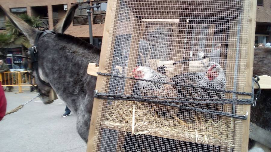 La calle Sagunto acoge un año más el tradicional acto que reúne a decenas especies de animales