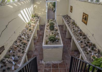 Imagen secundaria 1 - Un jardín cambiante en el centro de Valencia