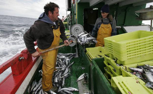 Pesca de verdel en el Cantábrico. 