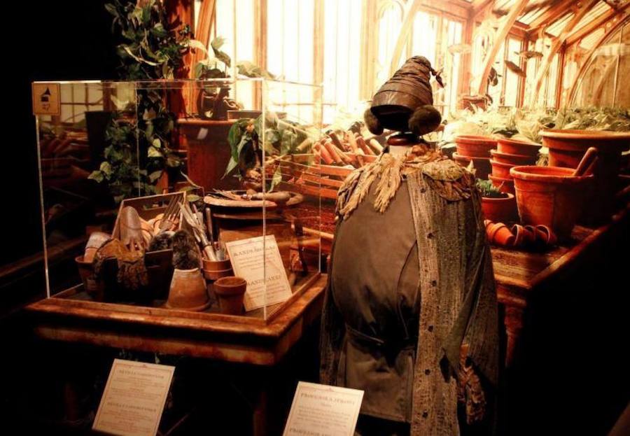 El universo de Harry Potter visitará Valencia este mes de abril. La Ciudad de las Artes y las Ciencias (CACSA) se prepara para recibir la exposición «Harry Potter the exhibition» para que los fans realicen un viaje por las películas a través de las localizaciones, objetos y escenarios que componen el mundo de Hogwarts. Más de 1.800 metros cuadrados con todo lo que se ha utilizado en el rodaje de la icónica saga.