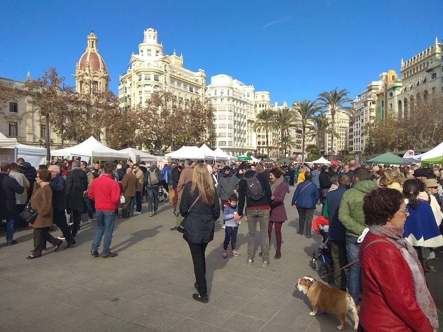 Fotos: De Horta a Plaza del Ayuntamiento