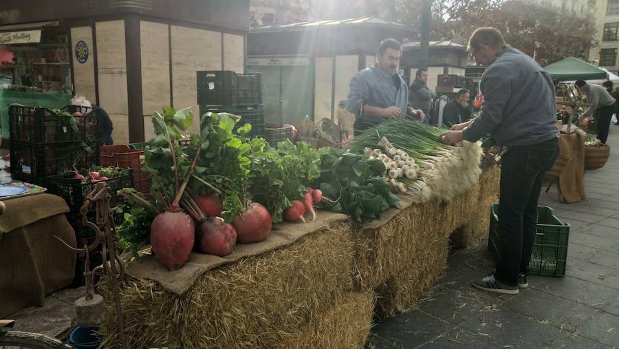 Fotos: De Horta a Plaza del Ayuntamiento