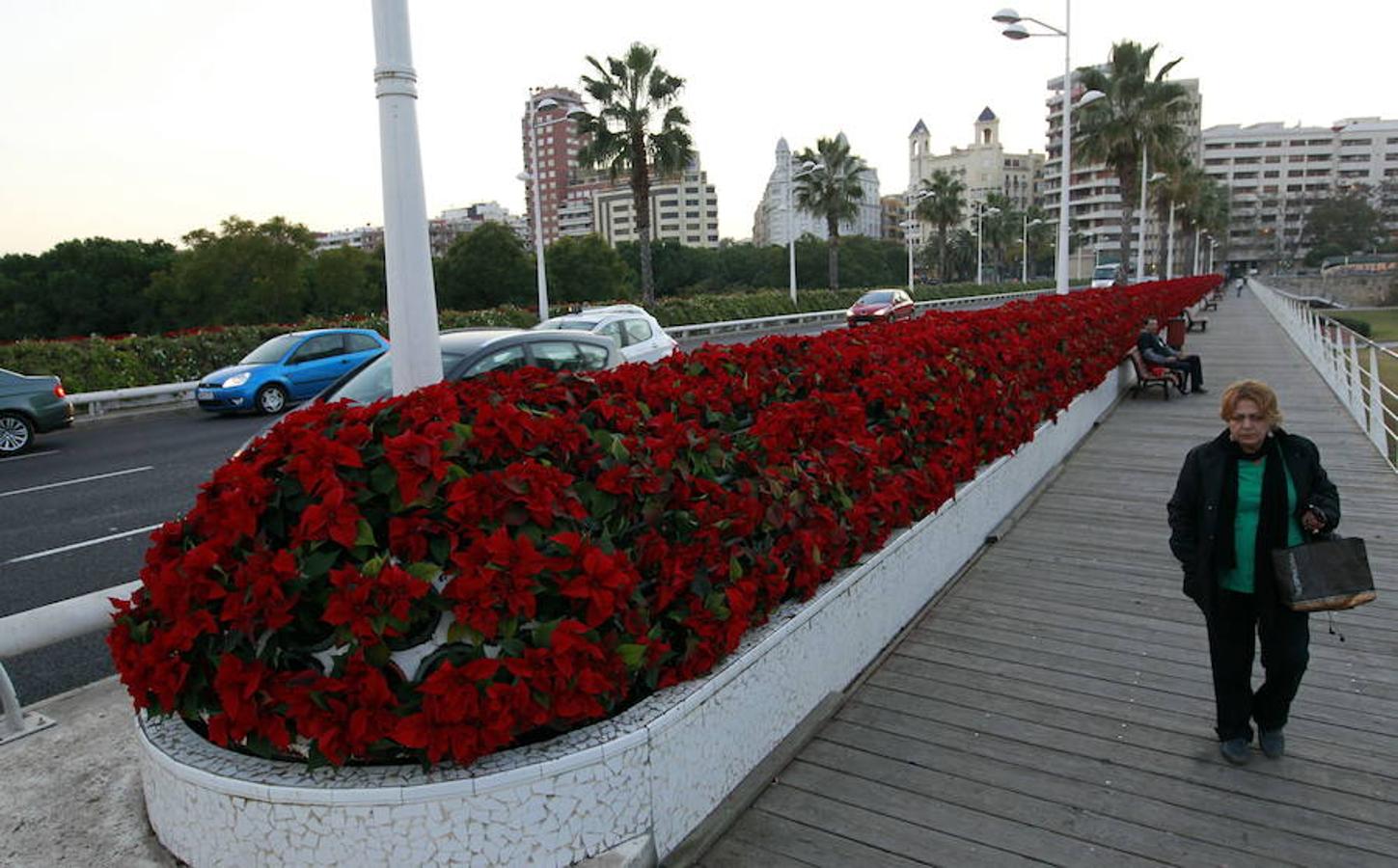 Puente de las flores.