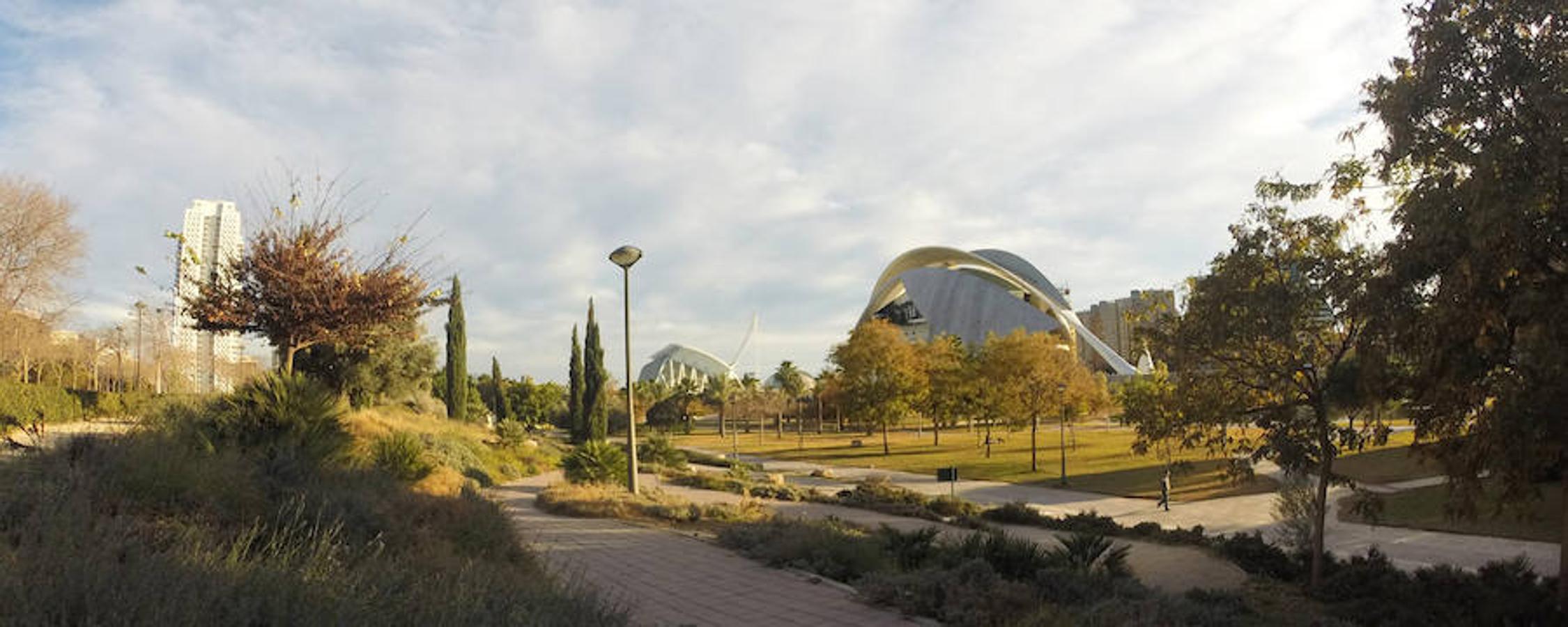 Ciudad de las Artes y las Ciencias.