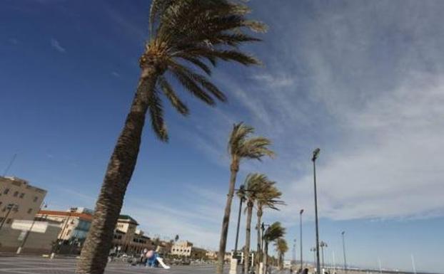 Borrasca Helena | ¿Hasta cuándo durará el temporal de viento en la Comunitat?