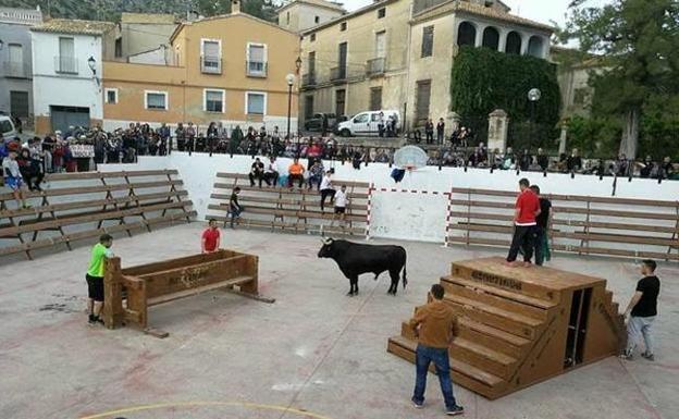 Agenda de los bous al carrer para este fin de semana en Valencia, Alicante y Castellón