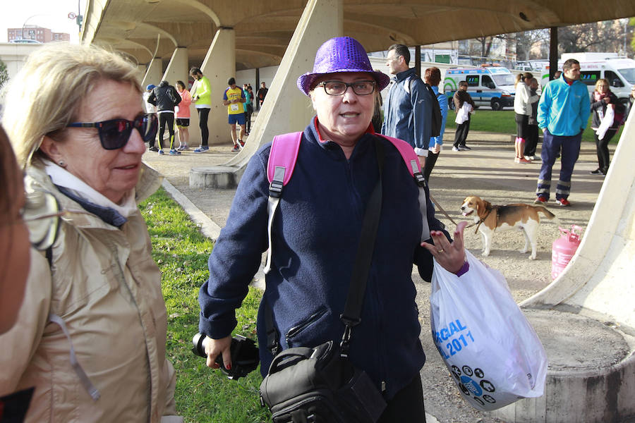 Más de 1.300 personas han participado este domingo en la Marcha a pie por el antiguo cauce del río Turia para celebrar el 50 Aniversario del Hospital Universitari i Politècnic La Fe. La Marcha conmemorativa ha trascurrido entre el paso inferior del Puente 9 de Octubre hasta el paso inferior del Puente de l'Assut d'Or, en la Ciudad de las Artes y las Ciencias y en ella han participado la Directora General de Asistencia Sanitaria de la Conselleria de Sanidad Universal y Salut Pública, Mariam Layunta; la Directora General de Recursos Humanos de la Conselleria, Carmen López; la Directora Territorial de Sanidad, Maite Cardona y la Gerente del Departament de Salut València La Fe, Mònica Almiñana.