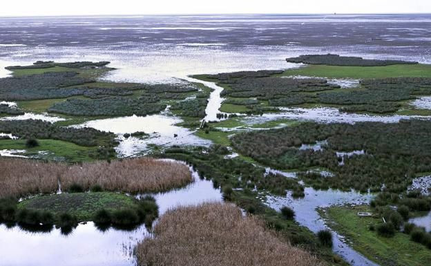 Vistas generales del Parque Nacional de Doñana. 