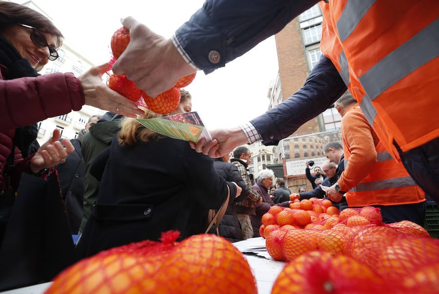 La Asociación Valenciana de Agricultores protesta este jueves por la crisis que atraviesa el sector