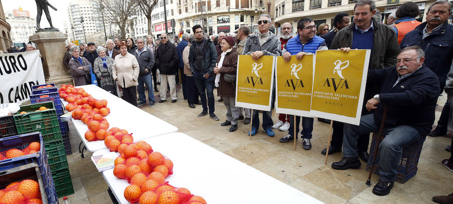 La Asociación Valenciana de Agricultores protesta este jueves por la crisis que atraviesa el sector