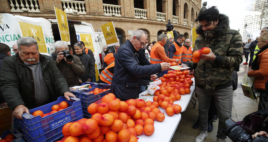 La Asociación Valenciana de Agricultores protesta este jueves por la crisis que atraviesa el sector