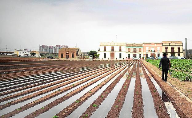 Click a l'Horta es un concurso de fotografía participativa e inclusiva sobre los campos de cultivo valencianos.