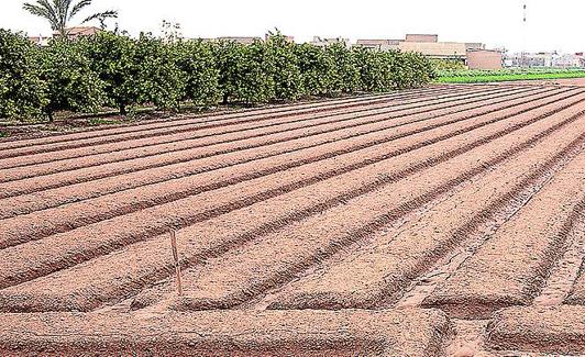 A través de cuatro etiquetas se podrá conocer el día a día de la huerta.