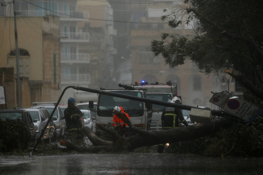 Un temporal de viento huracanado ha azotado Malta durante los últimos días. Las fuertes rachas de viento, que han llegado a los 100 km/hora, han destrozado estructuras, derribado árboles e incluso han provocado una inusual 'lluvia' de peces. Y es que, el viento desplazó multitud de ellos desde una piscifactoría que se encuentra en mitad del mar, concretamente en la bahía de San Pablo.