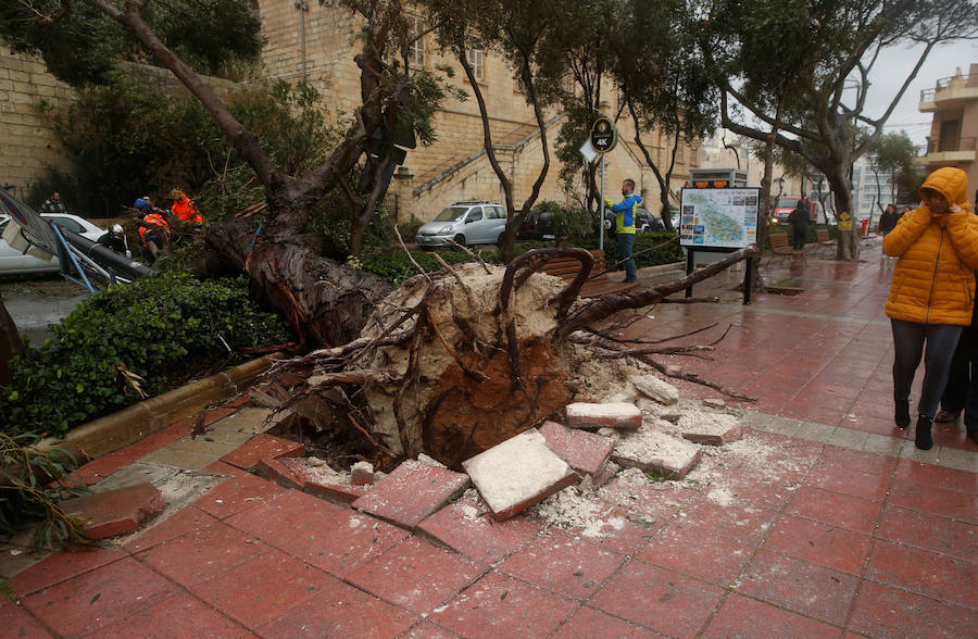 Un temporal de viento huracanado ha azotado Malta durante los últimos días. Las fuertes rachas de viento, que han llegado a los 100 km/hora, han destrozado estructuras, derribado árboles e incluso han provocado una inusual 'lluvia' de peces. Y es que, el viento desplazó multitud de ellos desde una piscifactoría que se encuentra en mitad del mar, concretamente en la bahía de San Pablo.