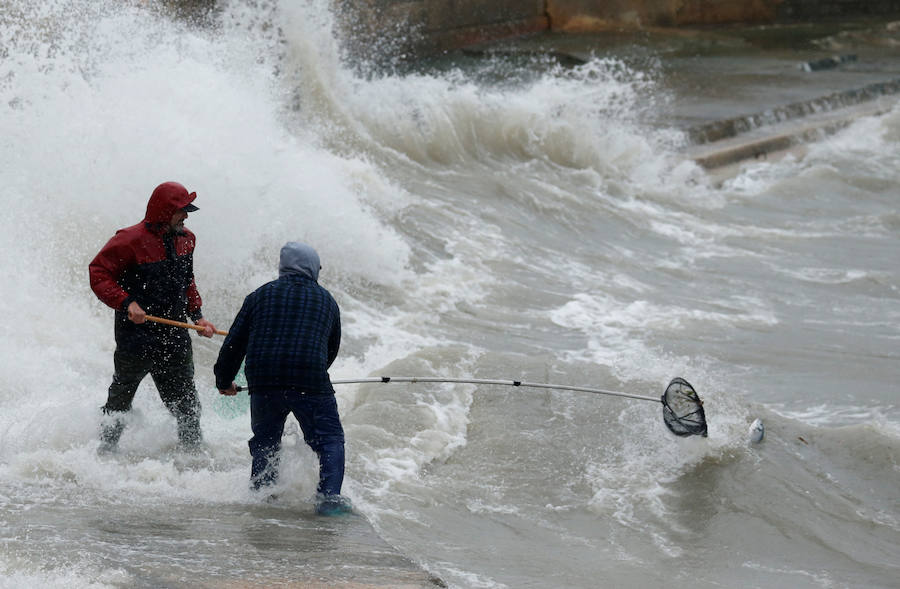 Un temporal de viento huracanado ha azotado Malta durante los últimos días. Las fuertes rachas de viento, que han llegado a los 100 km/hora, han destrozado estructuras, derribado árboles e incluso han provocado una inusual 'lluvia' de peces. Y es que, el viento desplazó multitud de ellos desde una piscifactoría que se encuentra en mitad del mar, concretamente en la bahía de San Pablo.