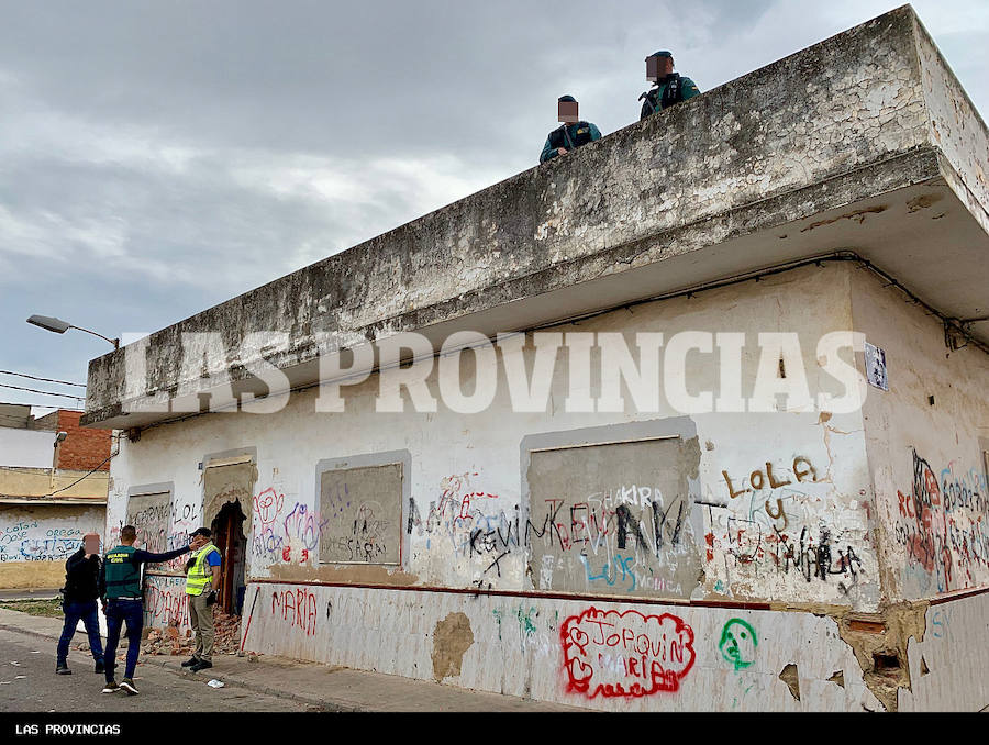 Fotos: Golpe al cultivo de marihuana en Carlet