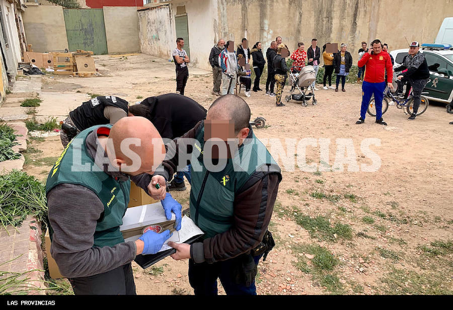 Fotos: Golpe al cultivo de marihuana en Carlet