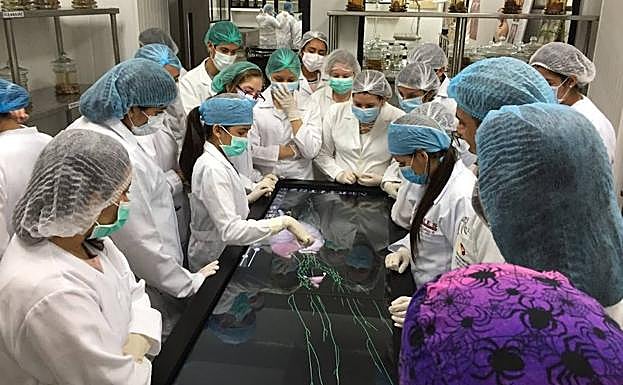 Maité acaba de completar el preuniversitario de Medicina. 