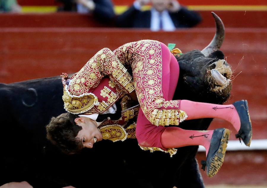 Fotos: Así ha sido la segunda novillada de las Fallas 2019