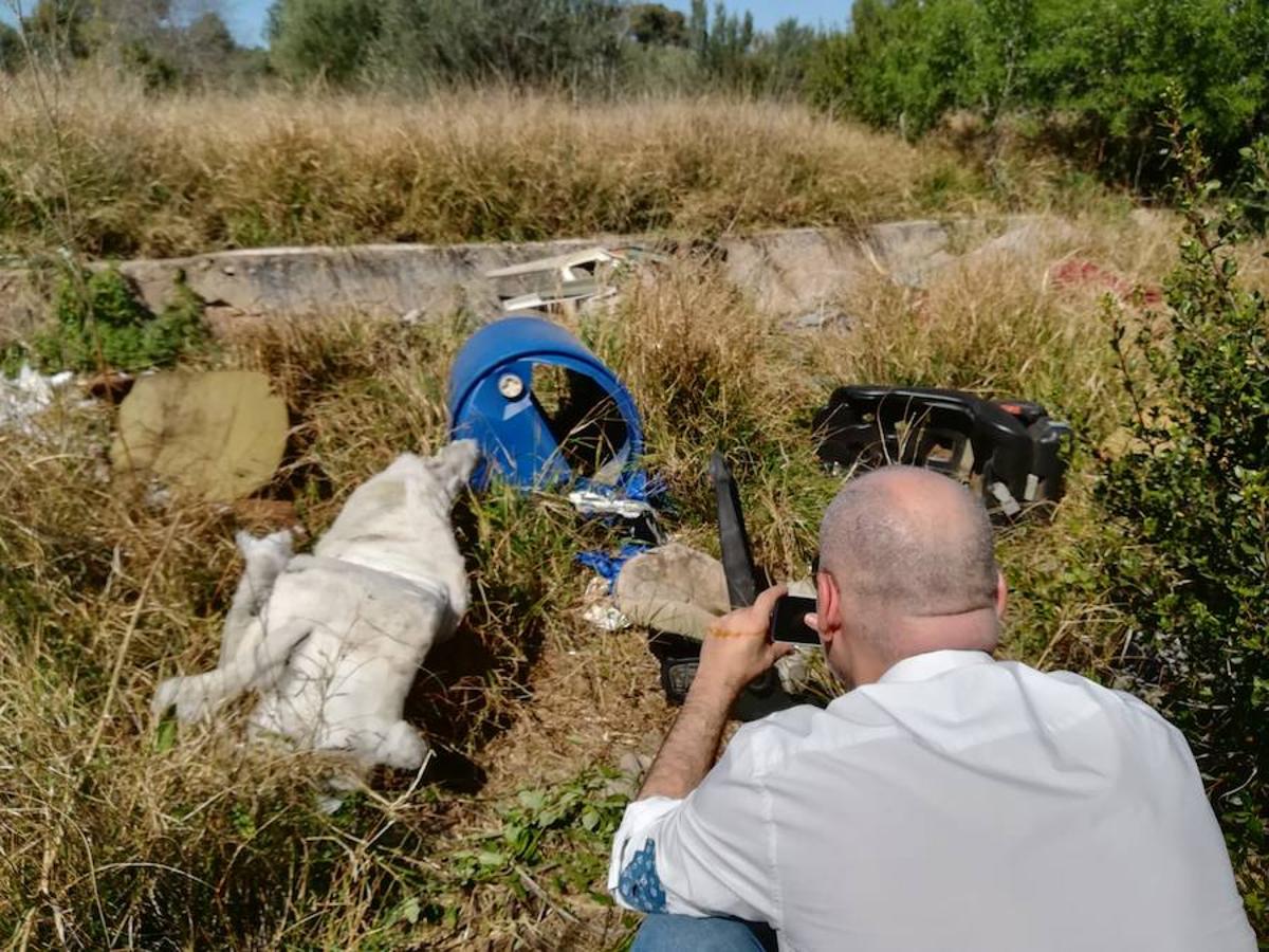 Fotos: Lugar en el que se ocultó la presunta parricida de Godella