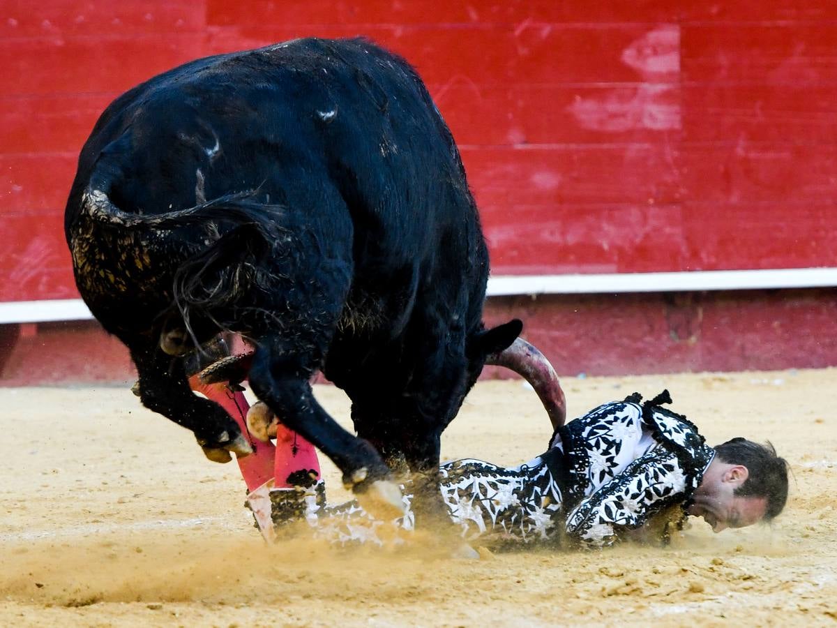 El torero valenciano Enrique Ponce ha sufrido una grave cogida en la corrida de este lunes, 18 de marzo de 2019, en la Feria de Fallas. Su segundo toro de la tarde, el quinto de la jornada, le ha dado una cornada en la parte posterior del muslo izquierdo, justo debajo de la nalga. En la caída, el diestro de Chiva también se ha lesionado la rodilla izquierda y ha tenido que ser hospitalizado, en la Casa de la Salud.