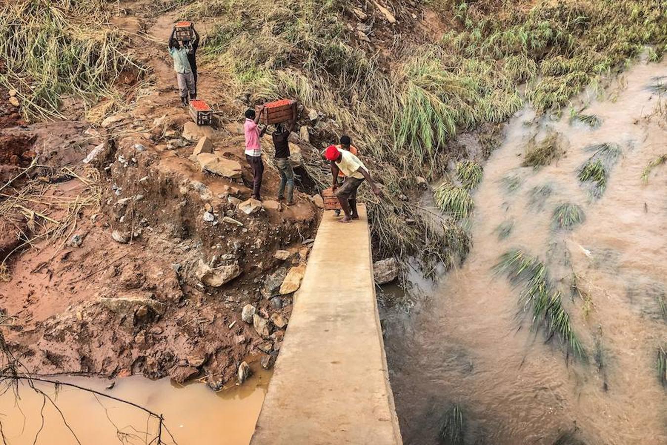 El ciclón Idai, que ha devastado poblaciones enteras a su paso por Mozambique, Malawi y Zimbabue, ha causado al menos 2,8 millones de afectados, según los cálculos que hoy hizo públicos el Programa Mundial de Alimentos (PMA) de las Naciones Unidas.