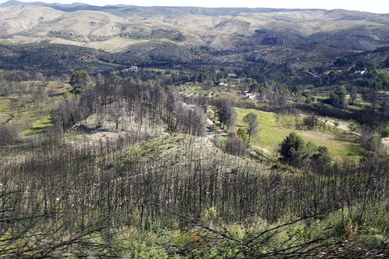 Fotos: Así quedó la localidad de Cortes tras el incendio