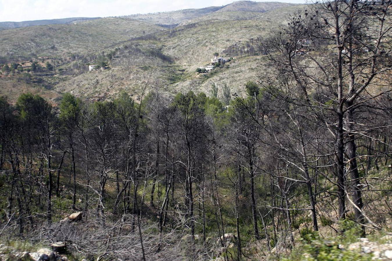 Fotos: Así quedó la localidad de Cortes tras el incendio