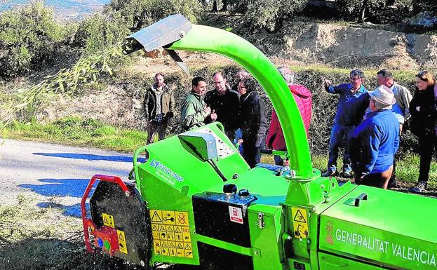 Trabajos de biotrituración en la sierra de Mariola.