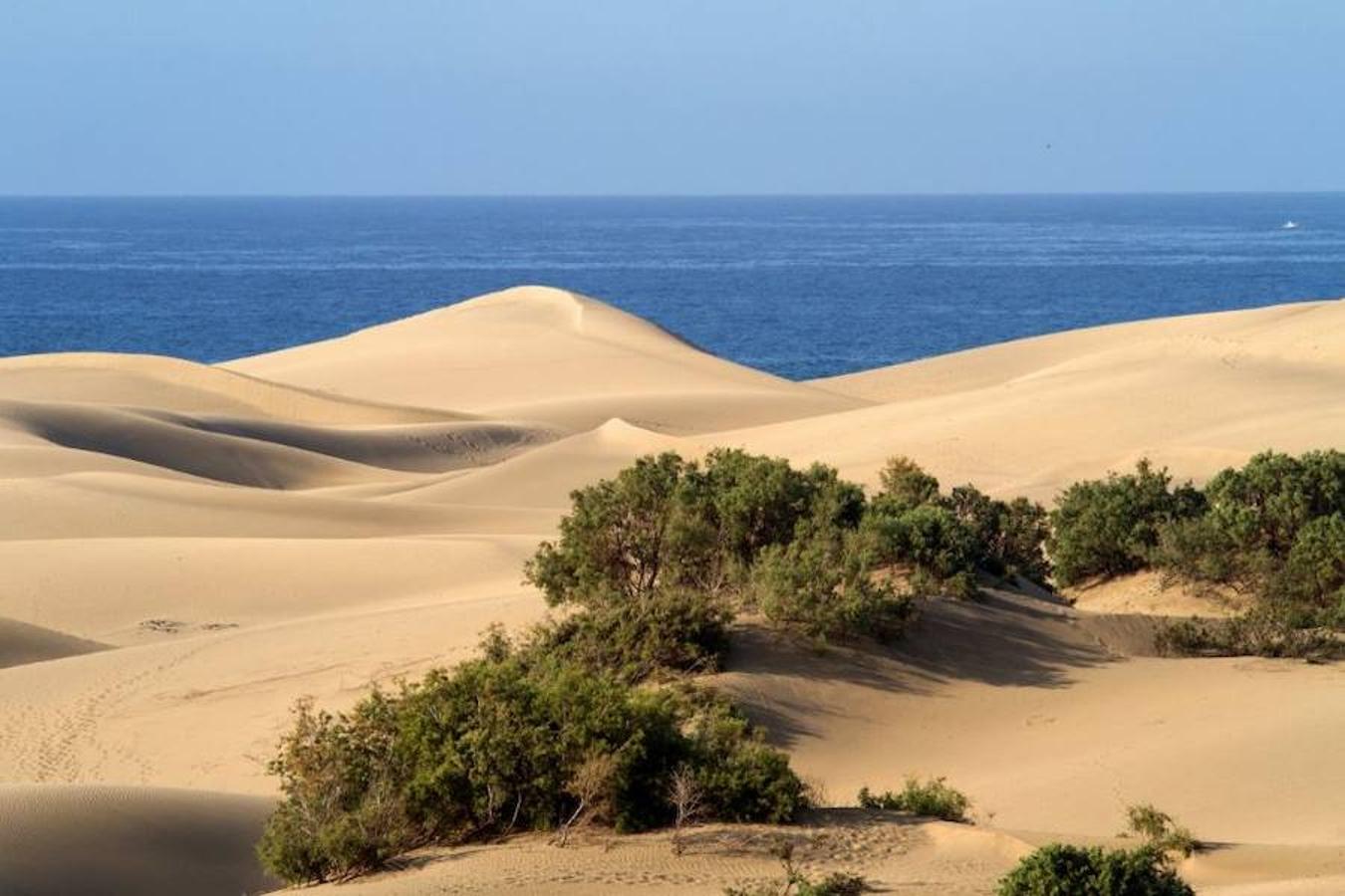 Gran Canaria (Islas Canarias).