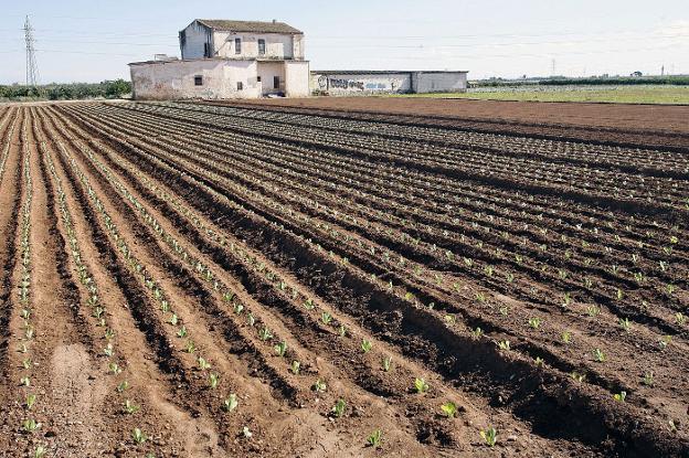 Alquería y campos de huerta en Torrent. 